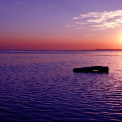 1920 x 1080 HD Wallpapers 2796